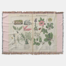 Hübsches Vintages botanisches Kunstgewirr Decke