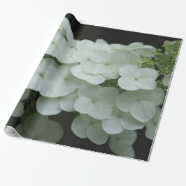 Hübsches Weiß-Hydrangea-Foto Geschenkpapier