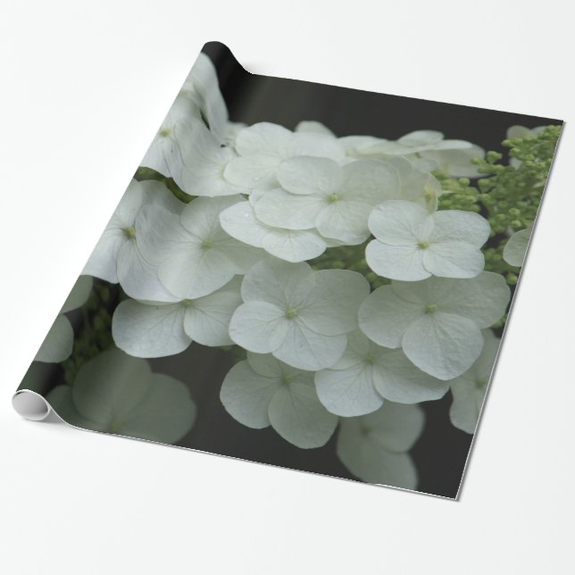 Hübsches Weiß-Hydrangea-Foto Geschenkpapier (Ungerollt)
