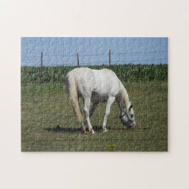 Hübsches Weißpferd Puzzle