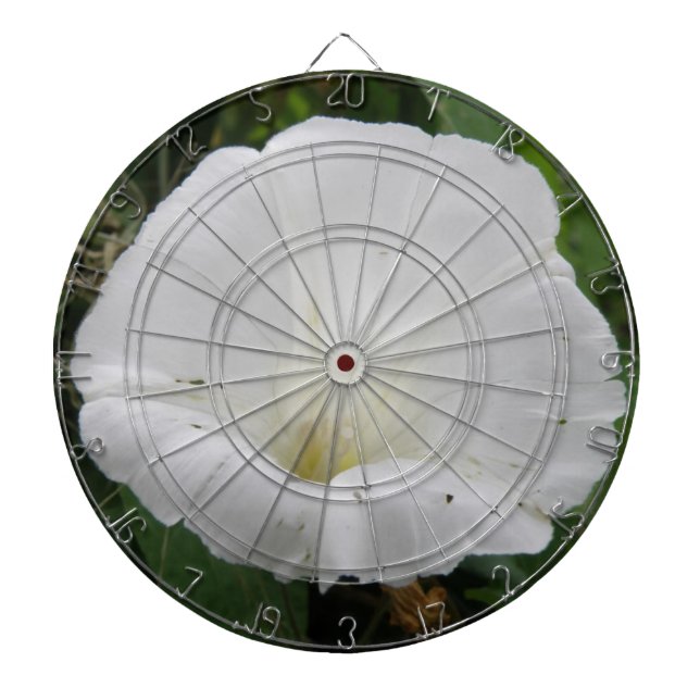 Hübsches White Convolvula Blume Dart Board Dartscheibe (vorne)