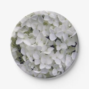 Hübsches White Hydrangea Closeup-Foto Pappteller