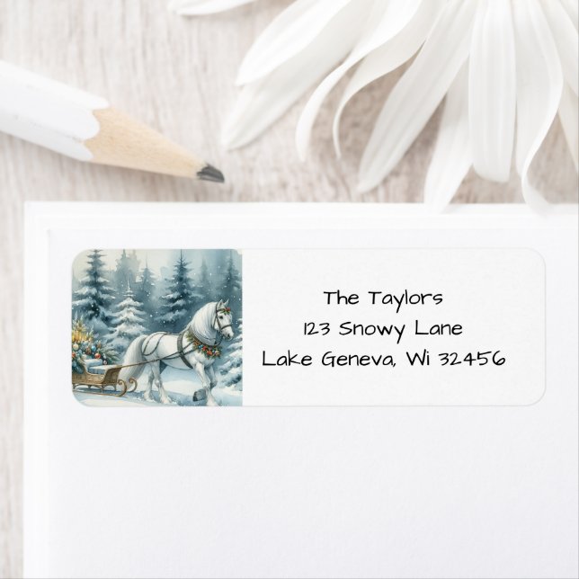 Hübsches Winterpferd und ein Weihnachtsrodeln (Insitu)