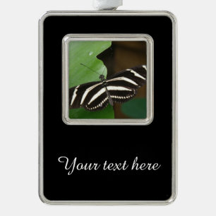 Hübsches Zebra Langschwinger Schmetterling Custom Rahmen-Ornament Silber