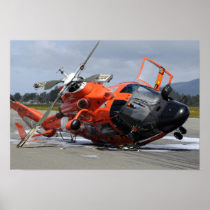 Hubschrauber des Delphins MH-65 zerschmettert bei Poster