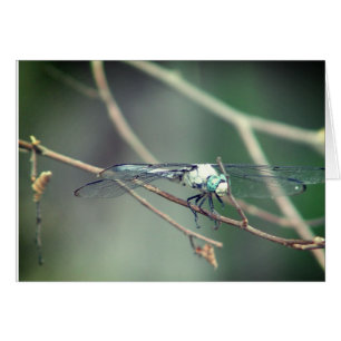 Hubschrauber-Versuchsdrache-Fliege