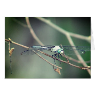 Hubschrauber-Versuchsdrache-Fliege