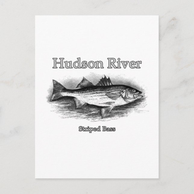 Hudson River Vintag Striping Bass Logo Postkarte (Vorderseite)