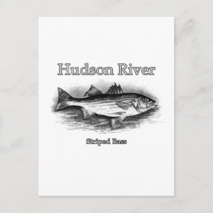 Hudson River Vintage Streifenbarsch-Logo Postkarte