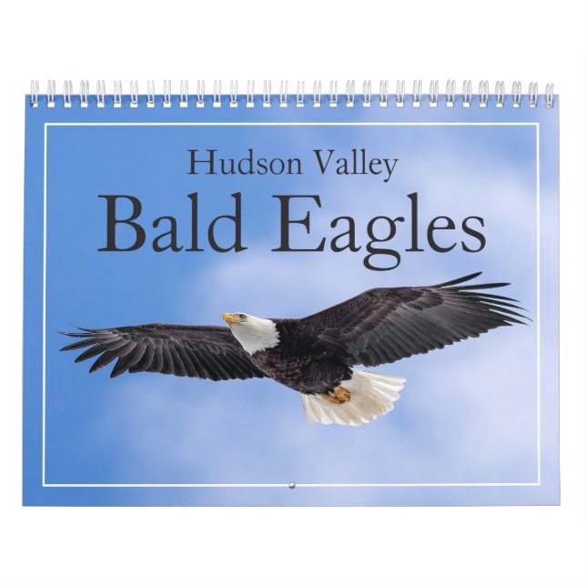 Hudson Valley Bald Eagles Calendar Kalender (Titelbild)