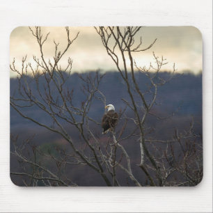 Hudson Valley Eagle Mousepad