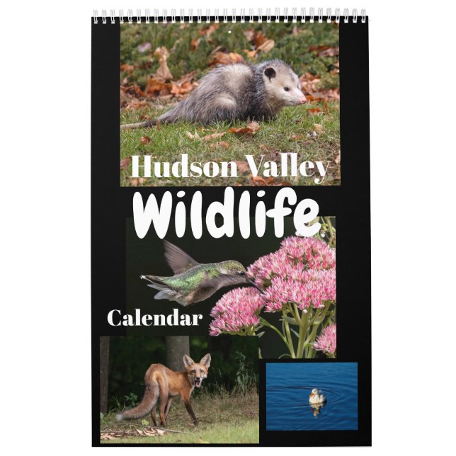 Hudson Valley Wildlife Calendar Kalender (Titelbild)