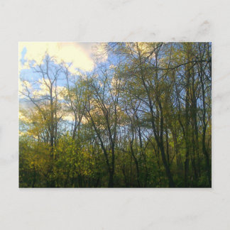 Hudson Vally, NY Postkarte