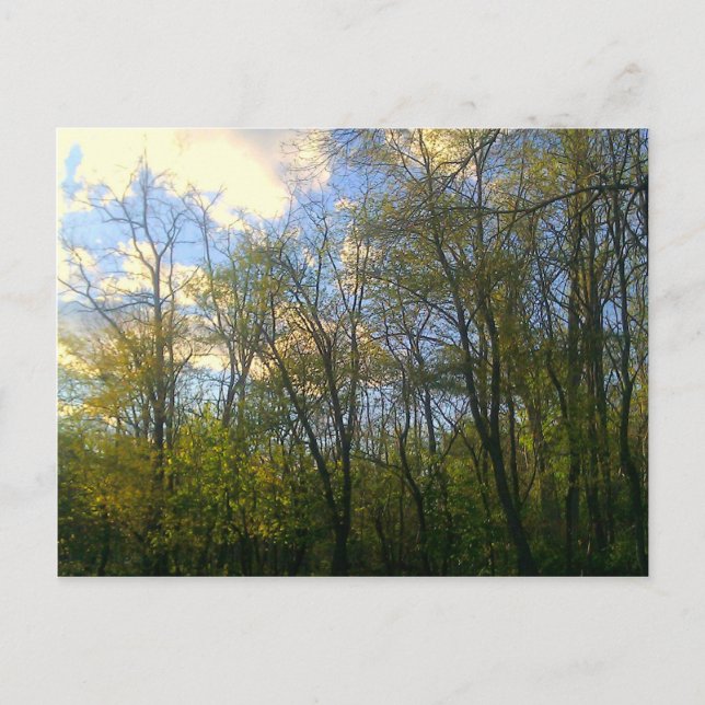 Hudson Vally, NY Postkarte (Vorderseite)