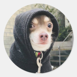 Huey in versteckter Sticker!! Runder Aufkleber