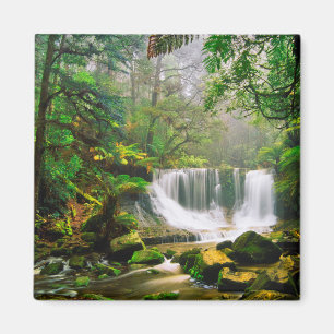 Hufeisen-Fälle umgeben durch Regenwald Magnet