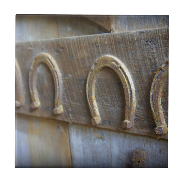 Hufeisen Fliese (Vorderseite)