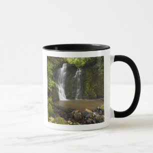 Hufeisenfälle, Matai-Fälle Tasse