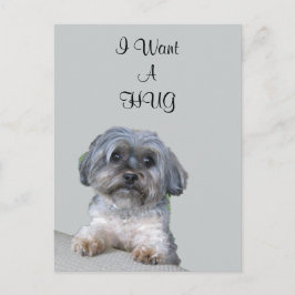 Hug Hund Postkarte