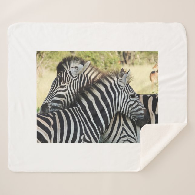 Hug Sherpadecke (Vorderseite (Horizontal))