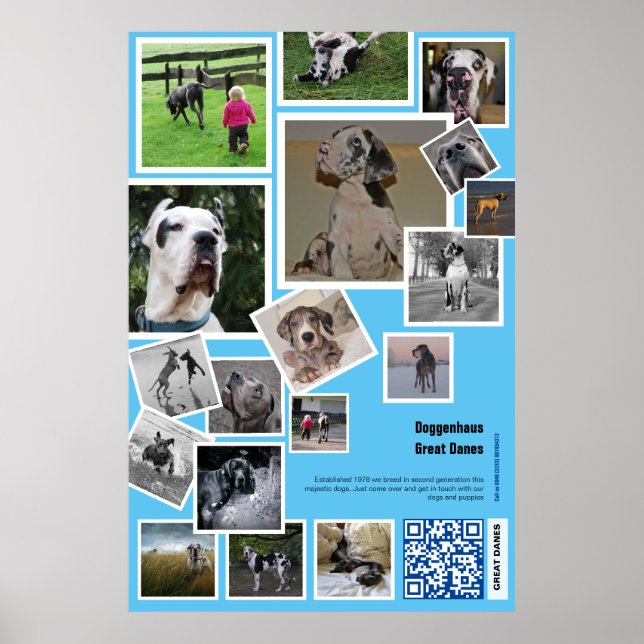 Huge Kennel Werbeaktion Poster (Vorne)