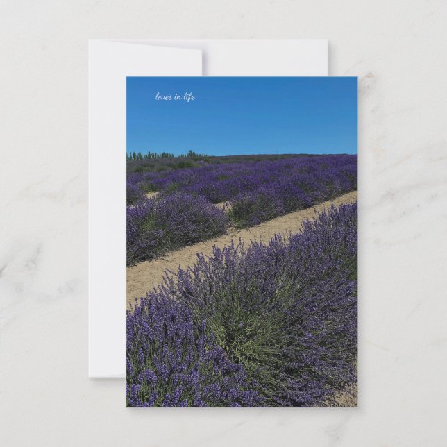 Hügel der Lavender Rows Mitteilungskarte (Vorderseite)