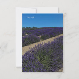 Hügel der Lavender Rows Mitteilungskarte