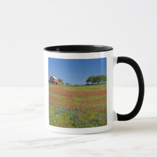 Hügel-Land Texas, Texas, Texas-Malerpinsel Tasse