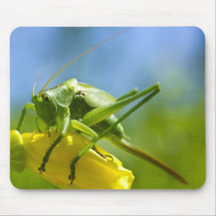 HUGO MOUSEPAD