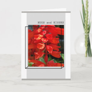 HUGS AND KISSES - GREETKARTE KARTE