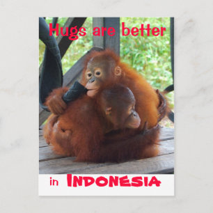 Hugs sind besser in Indonesien Postkarte