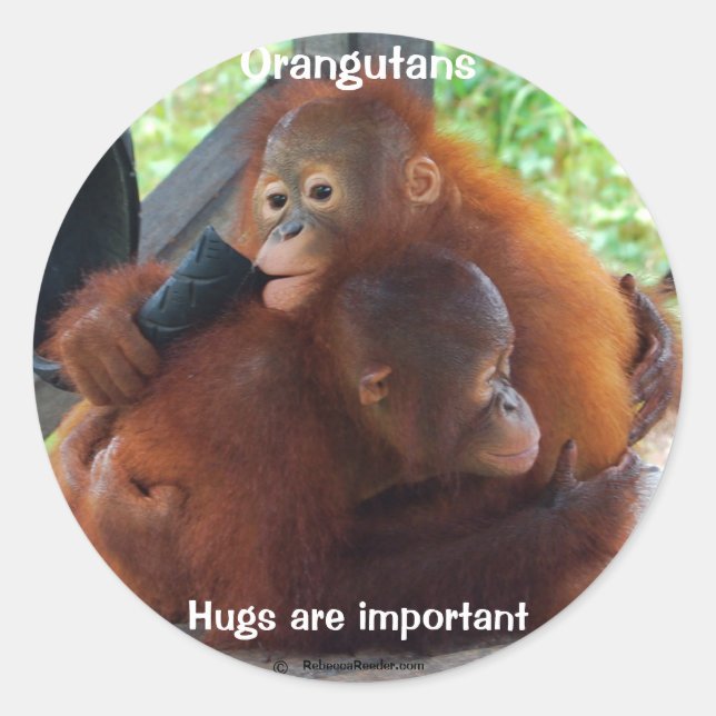 Hugs sind wichtig runder aufkleber (Vorderseite)