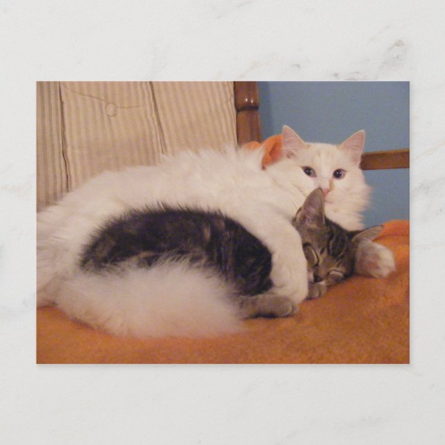 HugZ-Postkarte Postkarte (Vorderseite)