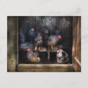 Huhn - Der Hühnerstall Postkarte