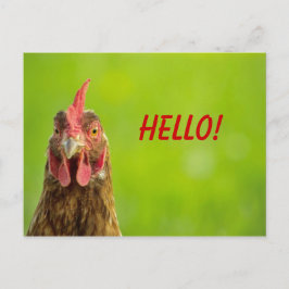 Huhn - hallo Postkarte