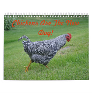Huhn-Hof-Kalender Kalender