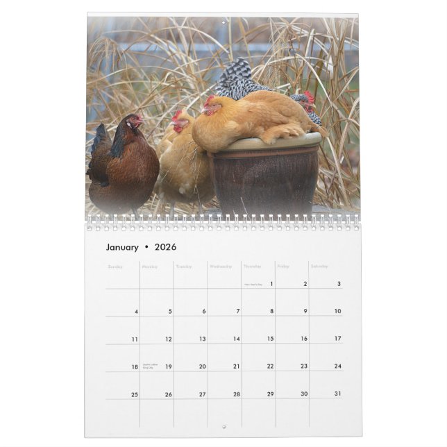 Huhn-Hof-Kalender Kalender (Jan 2026)