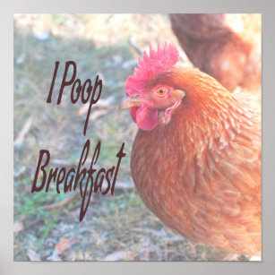 Huhn I kack Breakfast Funny Spaß Poster