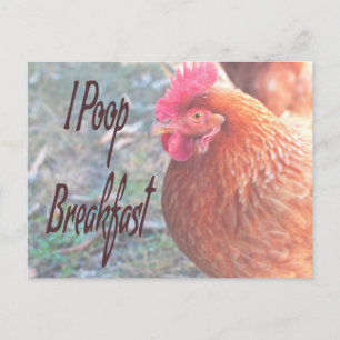 Huhn I kack Breakfast Funny Spaß Postkarte