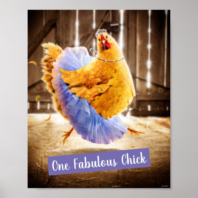 Huhn in Tutu Poster (Vorne)