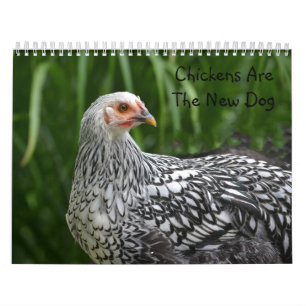 Huhn-Kalender Kalender