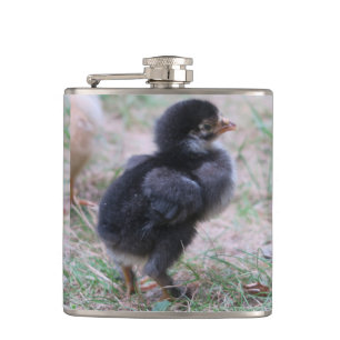 Huhn, Küken, Hühner, Küken, Tier, Vogel, Flachmann