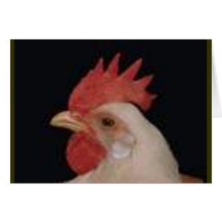 Huhn-Liebe