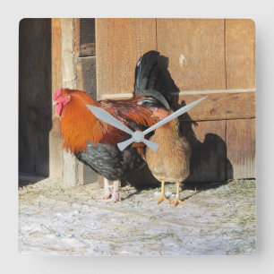 Huhn und Hahn Rustikale Küchenuhr mit Huhn und Hah Quadratische Wanduhr