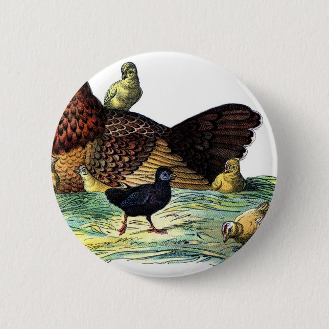 Huhn-Vintages Tier Button (Vorderseite)