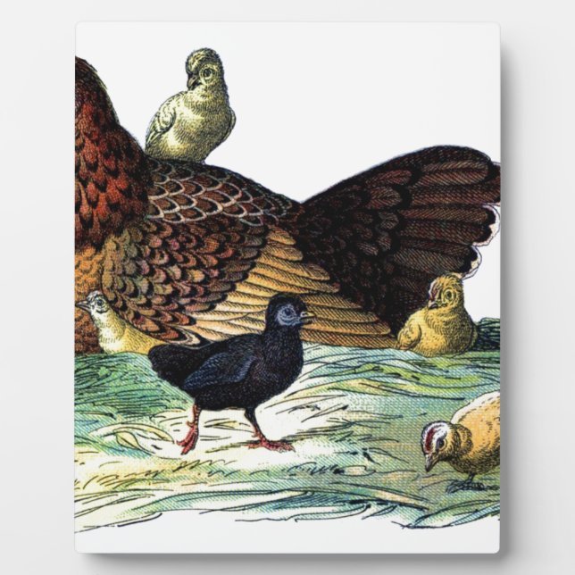 Huhn-Vintages Tier Fotoplatte (Vorderseite)