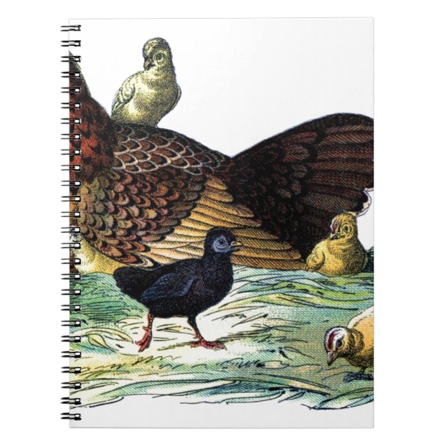 Huhn-Vintages Tier Notizblock (Vorderseite)