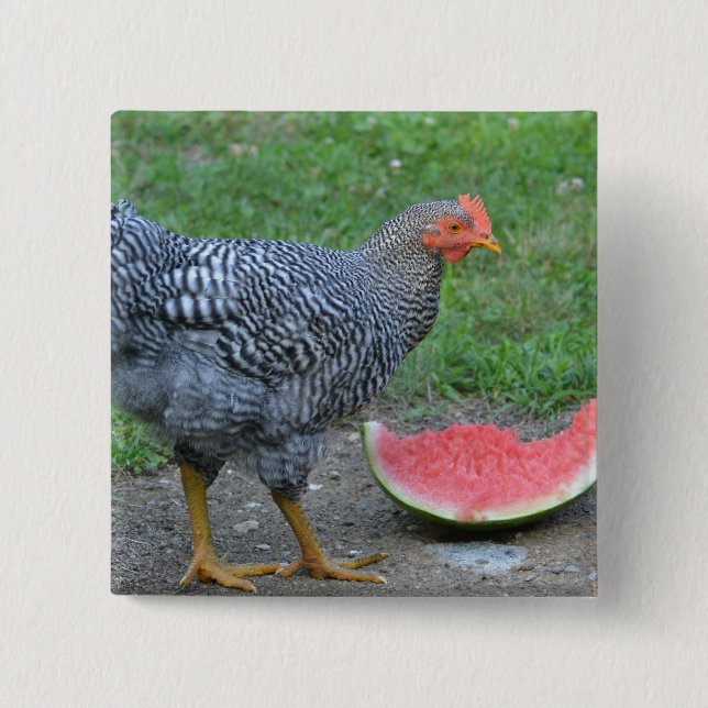 Huhn-Wassermelone-Knopf Button (Vorderseite)