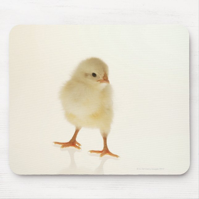Hühnchen Mousepad (Vorne)