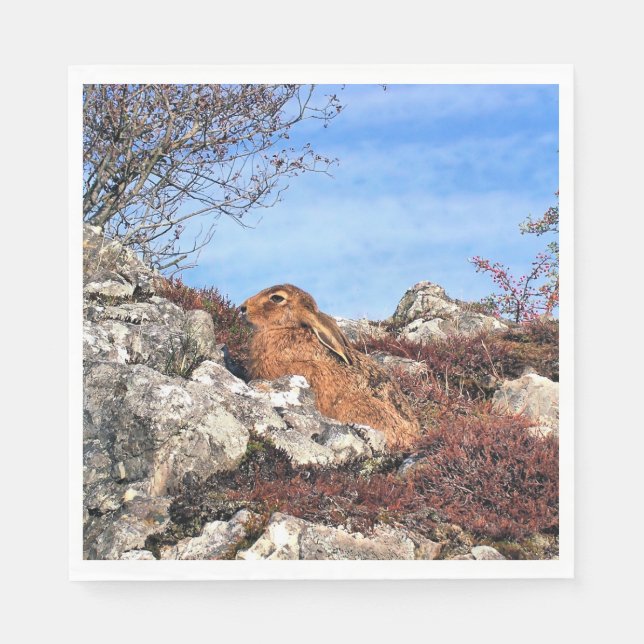 HÜHNE SERVIETTE (Vorderseite)